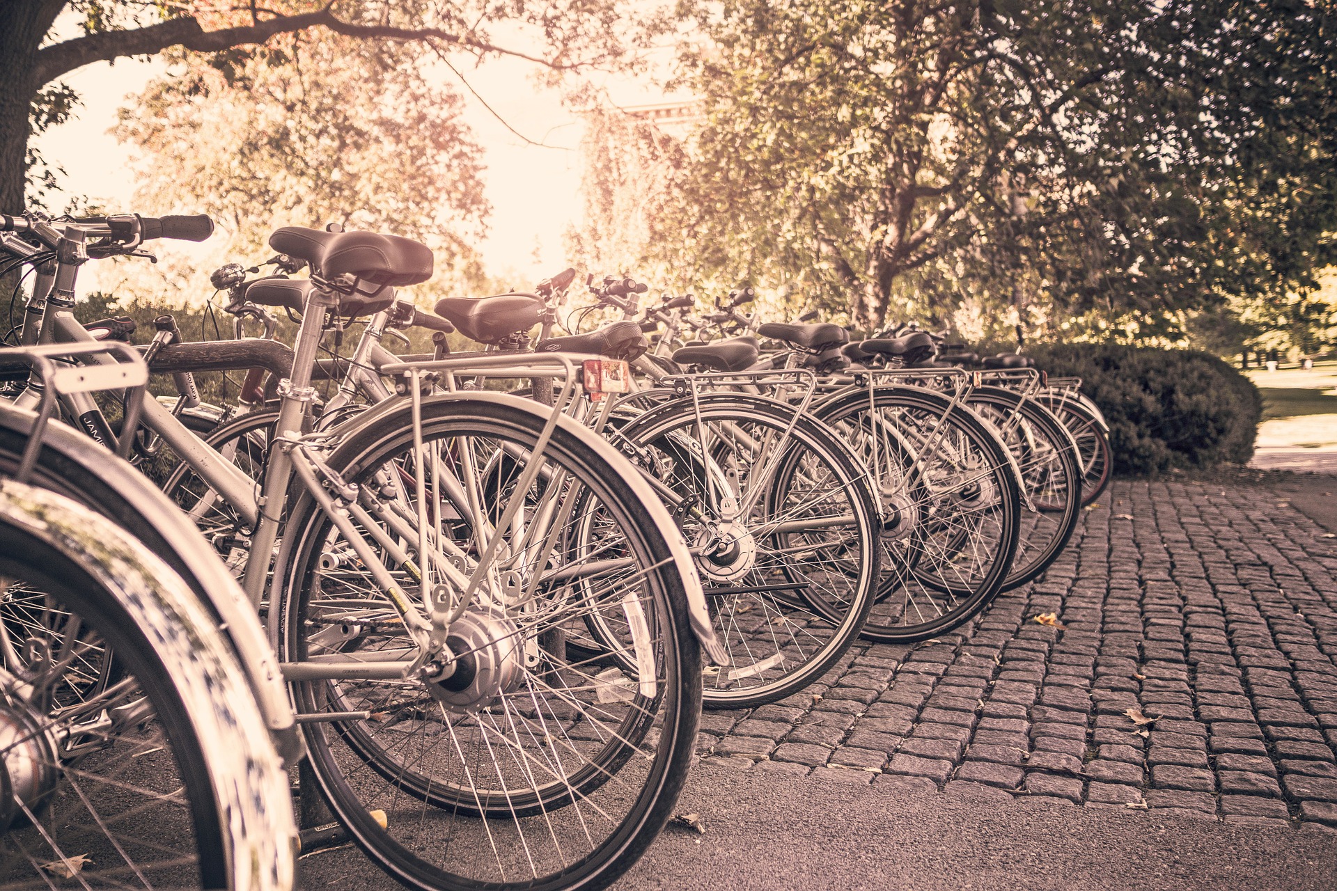 Why You’ll Need More Bicycle Parking Facilities Post-COVID-19